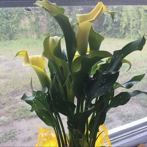 Meet your Posher, Loria