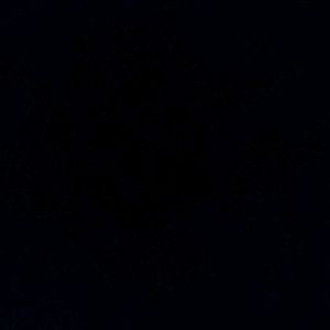 Meet your Posher, Jeffrey