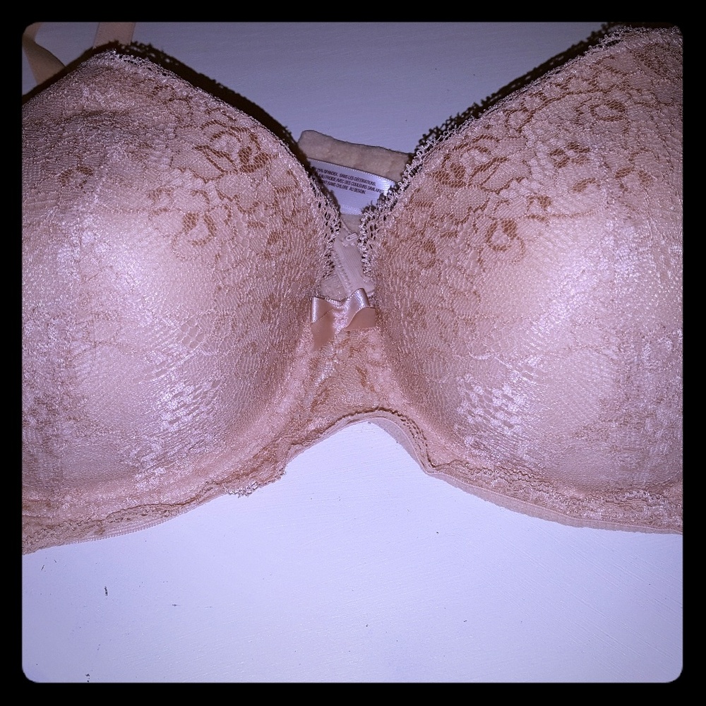 Gilligan and omalley lace push up bra