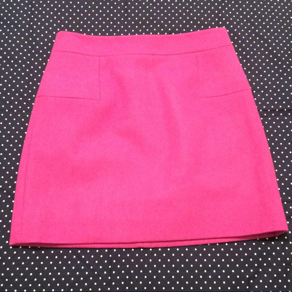 J. Crew Skirt
