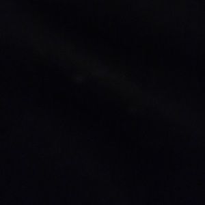 Meet your Posher, Shane