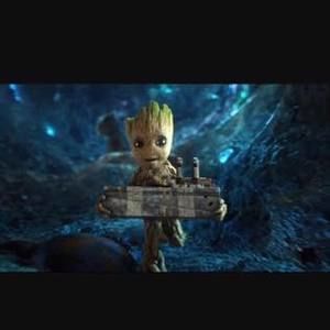 Meet your Posher, Bailey