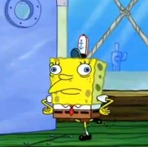 Meet your Posher, Amira