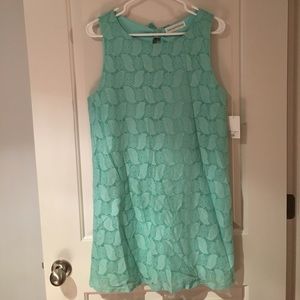 Women's Luxe Apothetique Lace Shift Dress