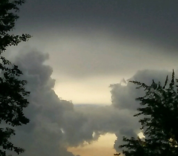 Meet your Posher, David - Picture 1 of 1