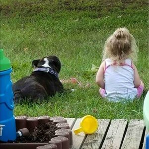 Meet your Posher, Lillie