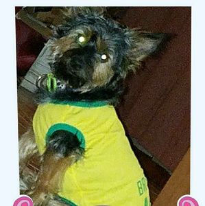 Meet your Posher, Tomeika