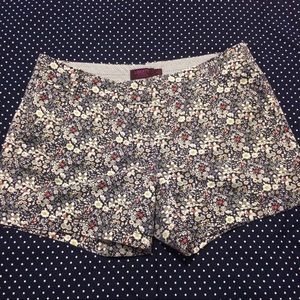 J. Crew Shorts