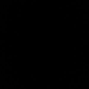 Meet your Posher, Richie