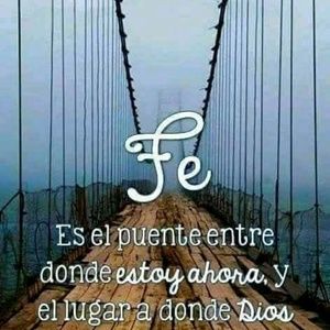 Meet your Posher, Sylvia