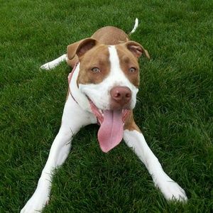 Meet your Posher, Cora