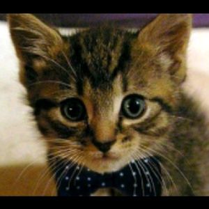 Meet your Posher, Samara