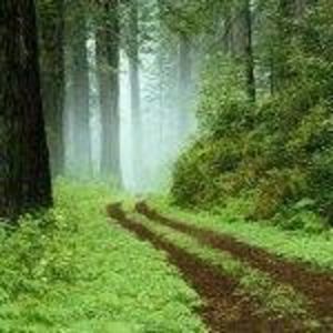 Meet your Posher, Tamar