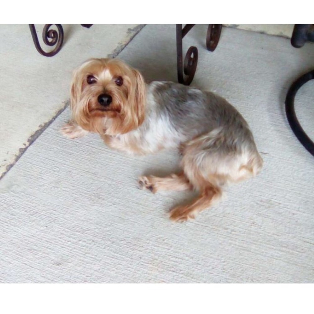 Meet your Posher, Taylor