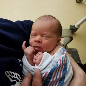 Meet your Posher, Rose