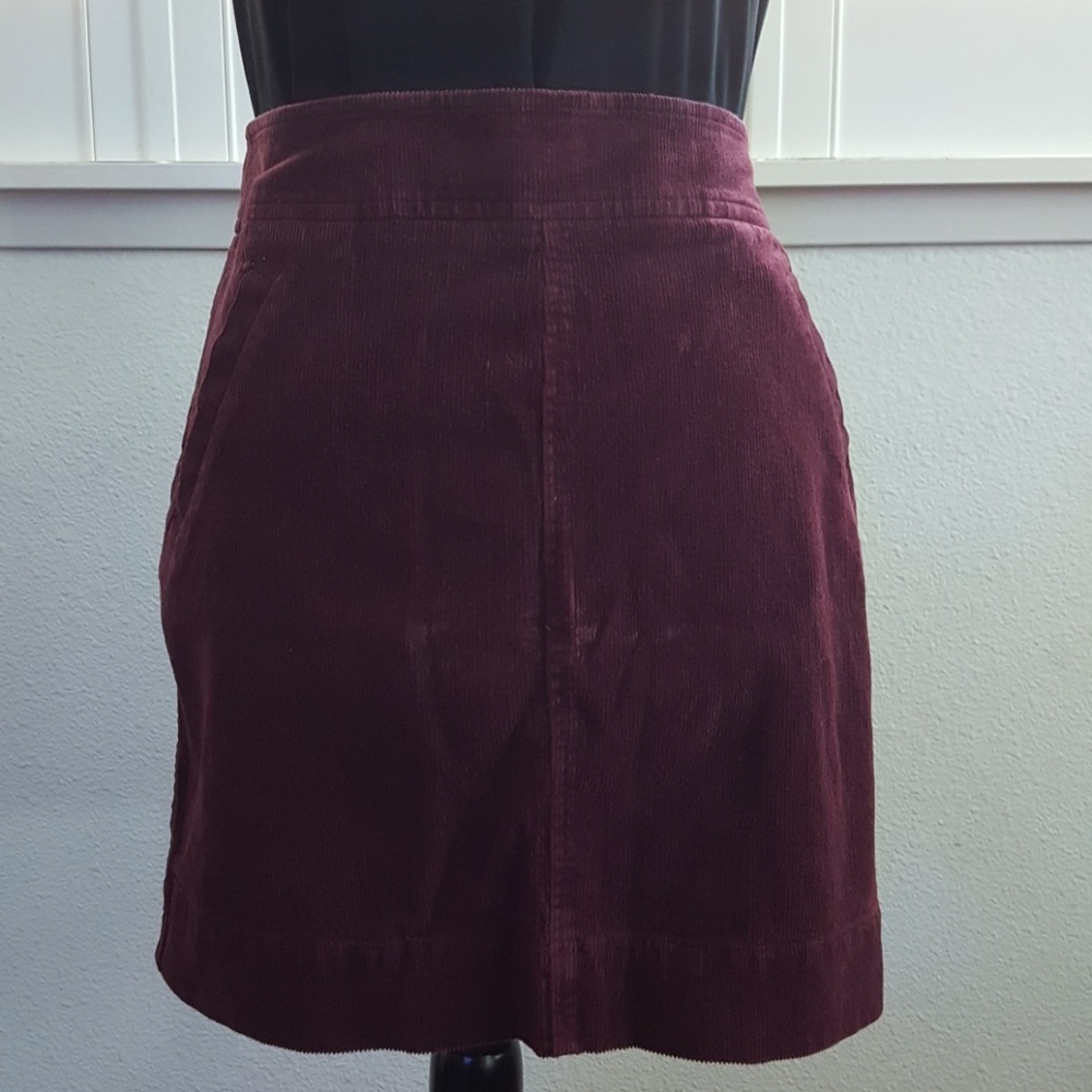 Ann Taylor LOFT skirt