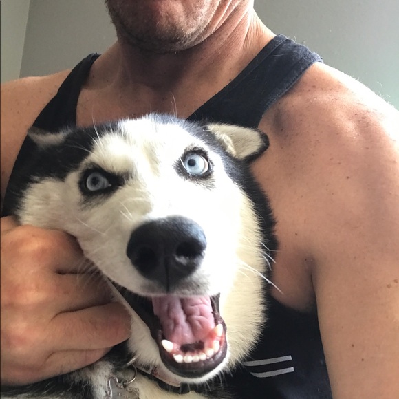 Meet your Posher, Marshall - Picture 1 of 1