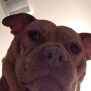 Meet your Posher, Arianna