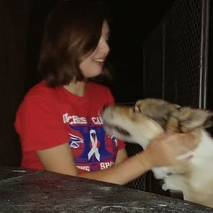 Meet your Posher, Tia