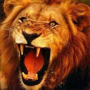 Meet your Posher, Charles