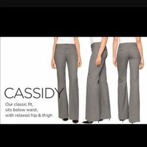 Maroon colored dress pants