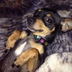 Meet your Posher, Joan