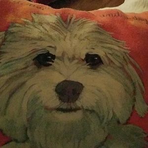 Meet your Posher, Lori