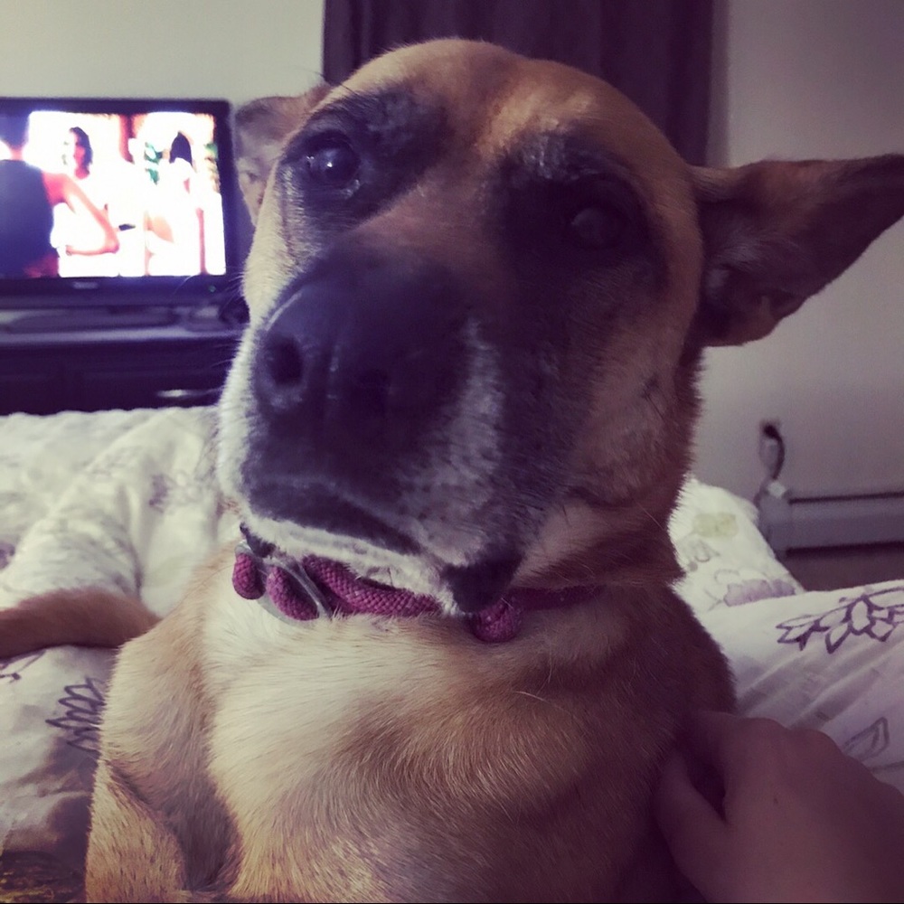 Meet your Posher, Jackie