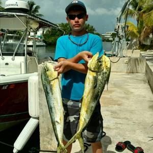 Meet your Posher, Parker