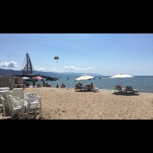 Meet your Posher, Evelyn