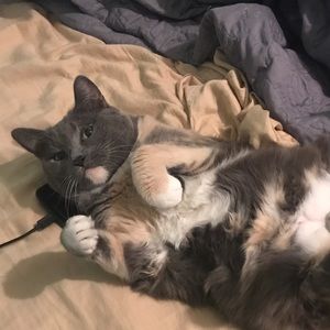 Meet your Posher, Nicole