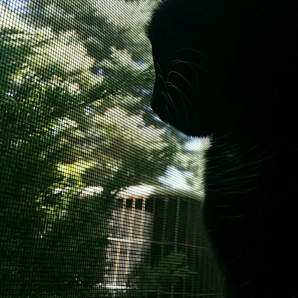 Meet your Posher, Jade