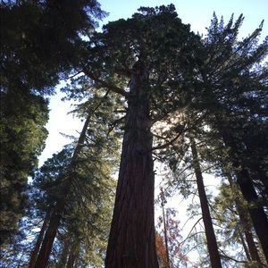 Meet your Posher, Skylar