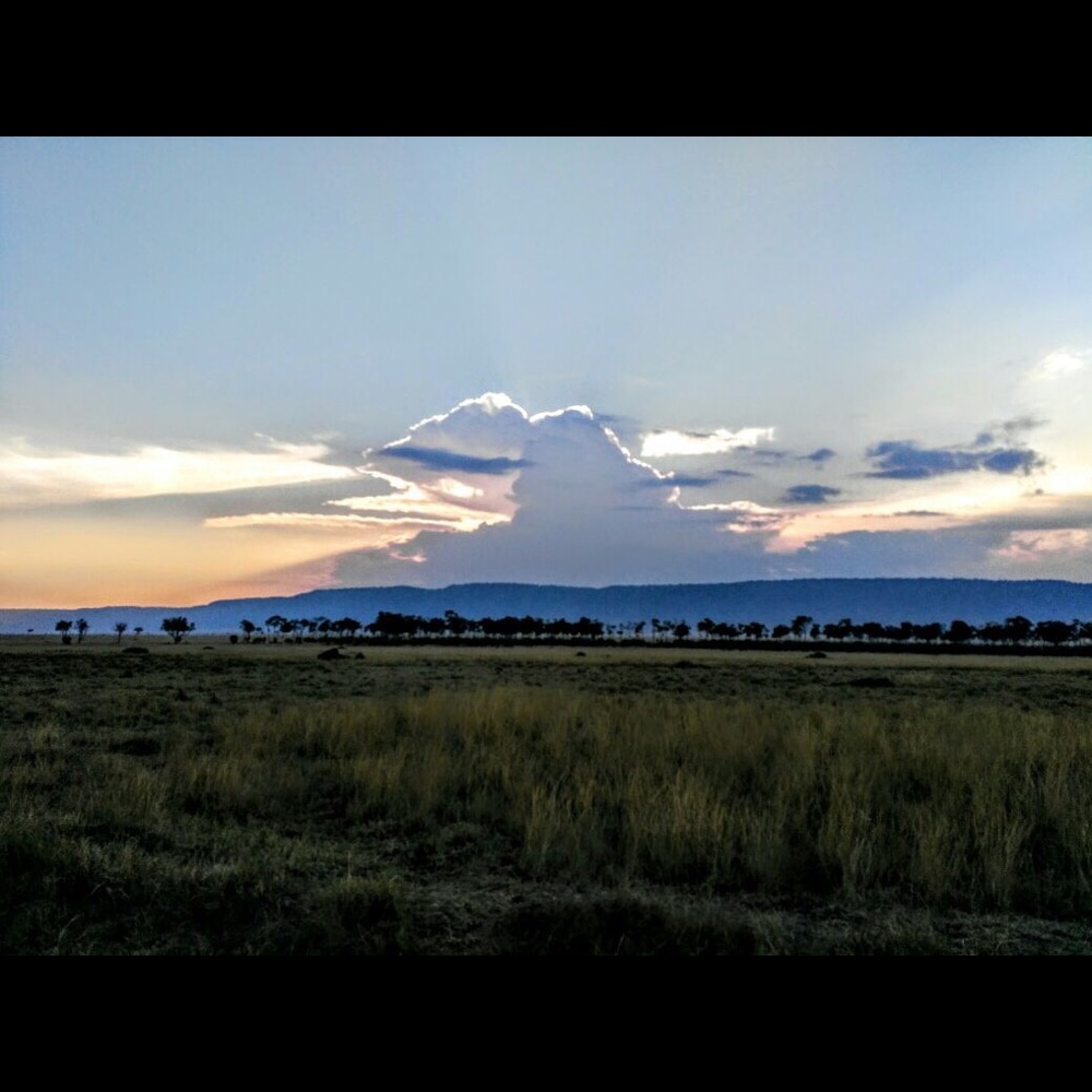 Meet your Posher, Devashree