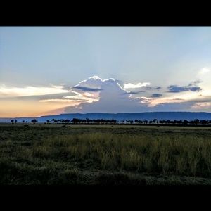 Meet your Posher, Devashree