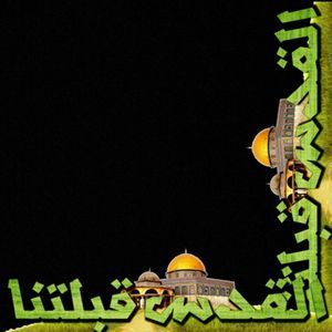 Meet your Posher, Ali allan