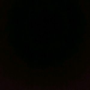 Meet your Posher, Darrel