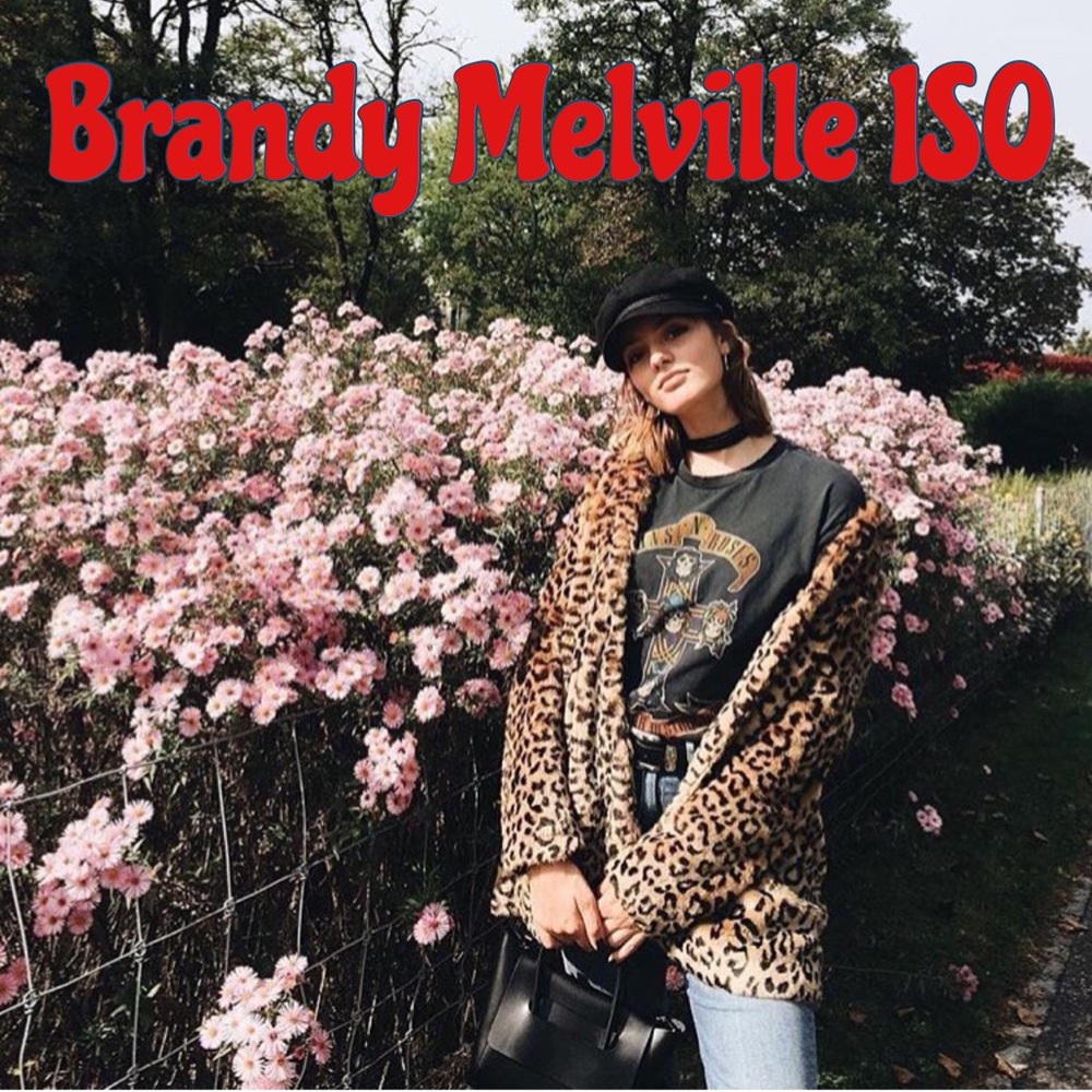 👀BRANDY MELVILLE ISO👀