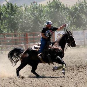 Meet your Posher, Al