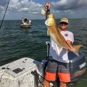 Meet your Posher, Tyler