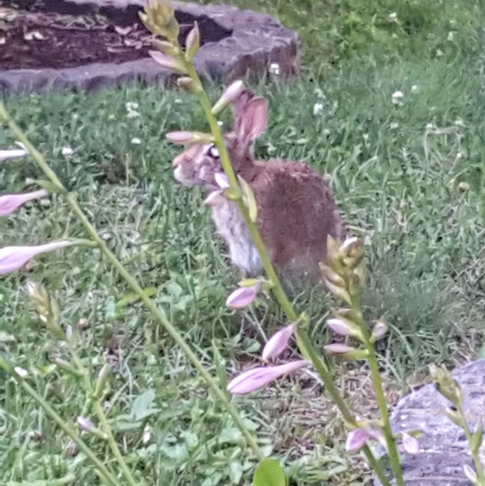 Meet your Posher, Malinda