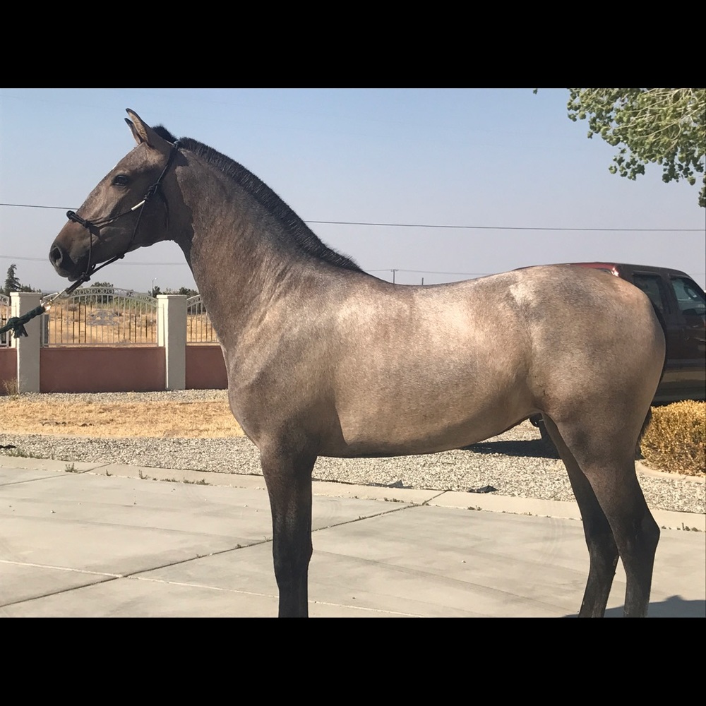 Meet your Posher, Laura