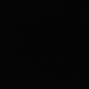 Meet your Posher, Tamara