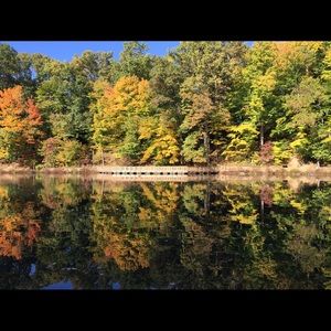 Meet your Posher, Bradi