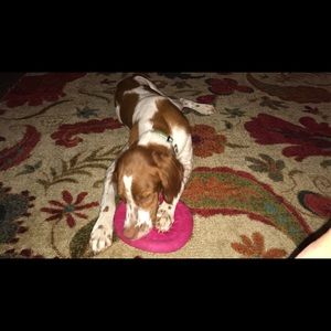 Meet your Posher, Claudia