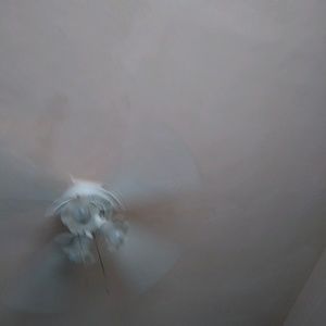 Meet your Posher, Adrienne