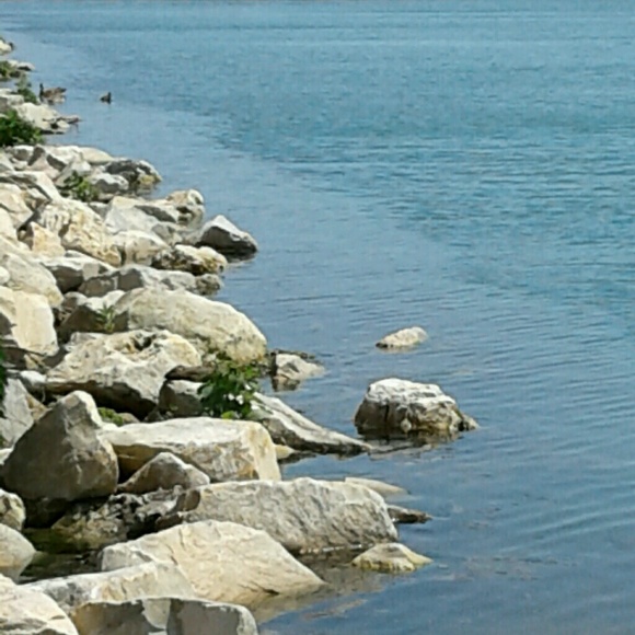 Meet your Posher, Alaina - Picture 1 of 1