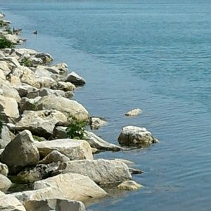 Meet your Posher, Alaina