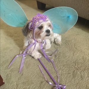 Meet your Posher, Ana