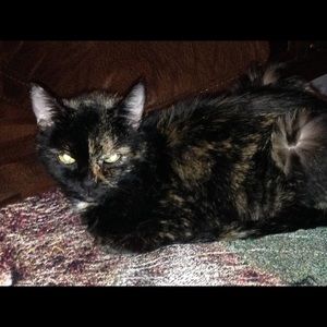 Meet your Posher, Maria